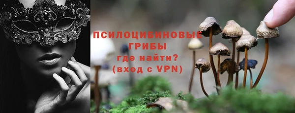 гидропоника Зеленодольск