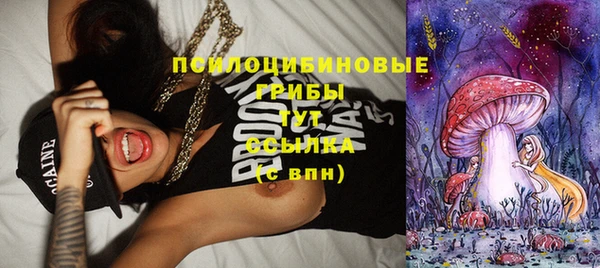 тгк Зеленокумск