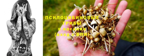 спиды Зерноград