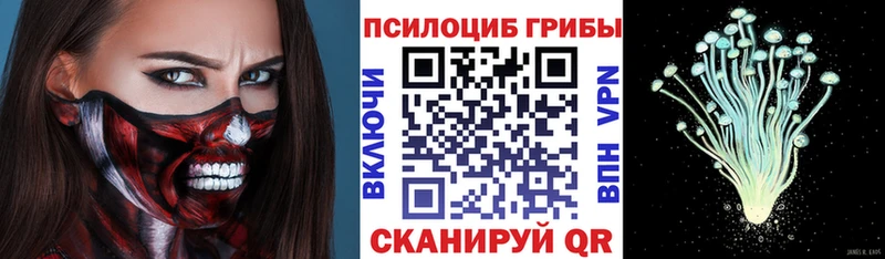 Галлюциногенные грибы мухоморы Купить Ясный